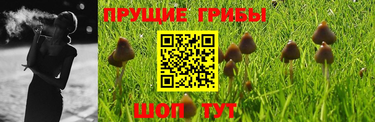 Галлюциногенные грибы прущие грибы  Вход с VPN  Псилоцибиновые грибы мухоморы  Приморско-Ахтарск 