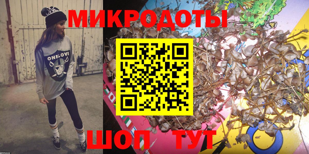 Галлюциногенные грибы прущие грибы Приморско-Ахтарск